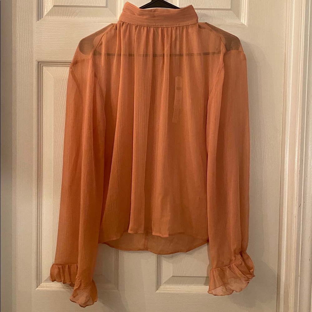 Anthropologie Sheer Terracotta Blouse Top NWTs - Picture 3 of 13